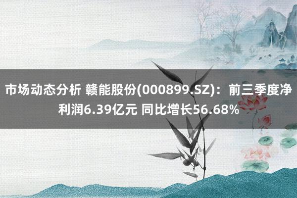 市场动态分析 赣能股份(000899.SZ)：前三季度净利润6.39亿元 同比增长56.68%