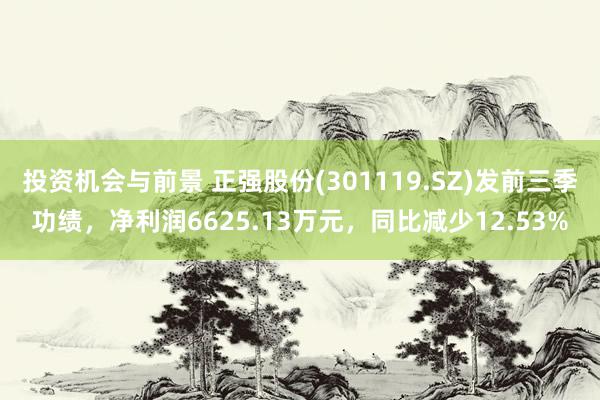 投资机会与前景 正强股份(301119.SZ)发前三季功绩，净利润6625.13万元，同比减少12.53%