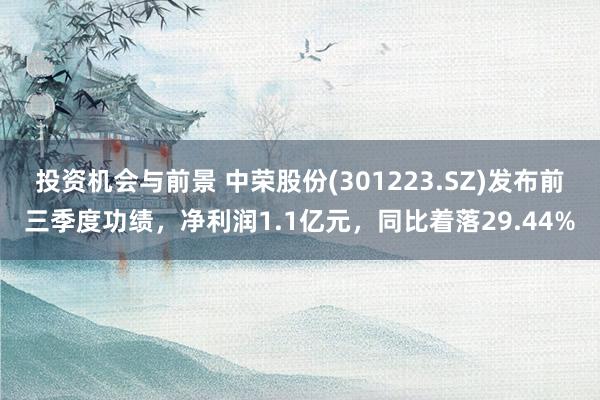 投资机会与前景 中荣股份(301223.SZ)发布前三季度功绩，净利润1.1亿元，同比着落29.44%