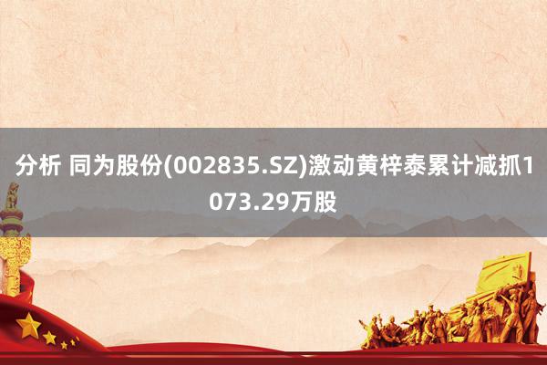 分析 同为股份(002835.SZ)激动黄梓泰累计减抓1073.29万股