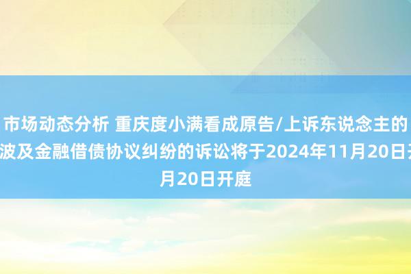 市场动态分析 重庆度小满看成原告/上诉东说念主的1起波及金融借债协议纠纷的诉讼将于2024年11月20日开庭