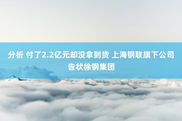 分析 付了2.2亿元却没拿到货 上海钢联旗下公司告状徐钢集团