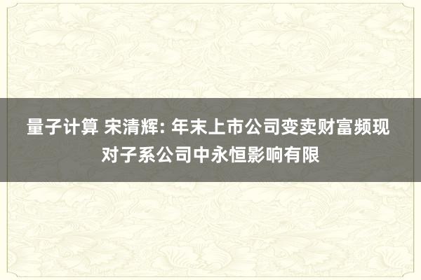 量子计算 宋清辉: 年末上市公司变卖财富频现 对子系公司中永恒影响有限