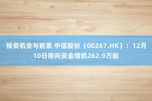 投资机会与前景 中信股份（00267.HK）：12月10日南向资金增抓262.9万股