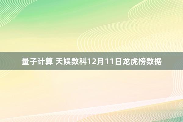 量子计算 天娱数科12月11日龙虎榜数据