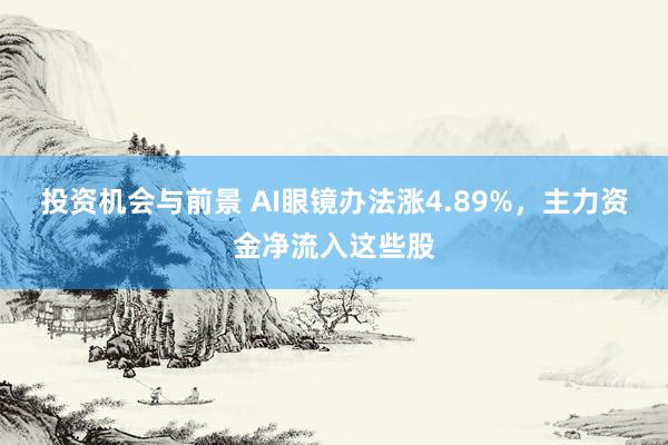 投资机会与前景 AI眼镜办法涨4.89%，主力资金净流入这些股