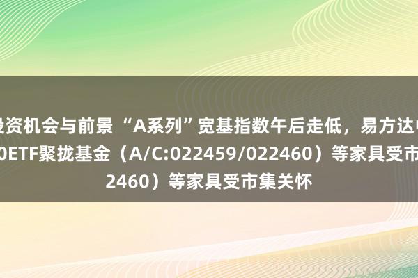 投资机会与前景 “A系列”宽基指数午后走低，易方达中证A500ETF聚拢基金（A/C:022459/022460）等家具受市集关怀