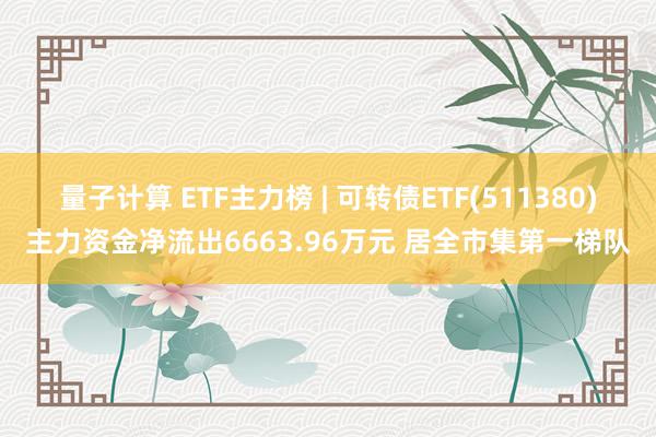 量子计算 ETF主力榜 | 可转债ETF(511380)主力资金净流出6663.96万元 居全市集第一梯队