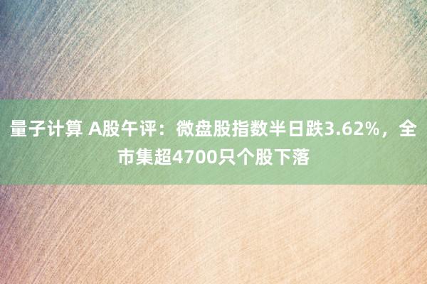 量子计算 A股午评：微盘股指数半日跌3.62%，全市集超4700只个股下落