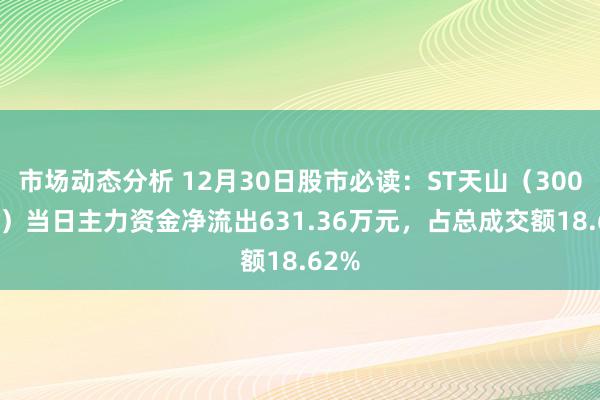 市场动态分析 12月30日股市必读：ST天山（300313）当日主力资金净流出631.36万元，占总成交额18.62%