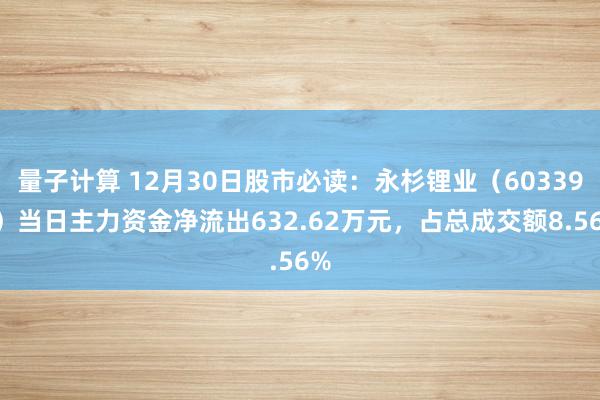 量子计算 12月30日股市必读：永杉锂业（603399）当日主力资金净流出632.62万元，占总成交额8.56%