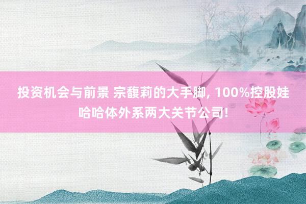 投资机会与前景 宗馥莉的大手脚, 100%控股娃哈哈体外系两大关节公司!