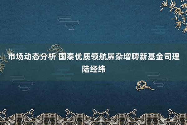 市场动态分析 国泰优质领航羼杂增聘新基金司理陆经纬