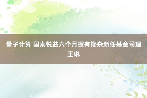 量子计算 国泰悦益六个月握有搀杂新任基金司理王琳