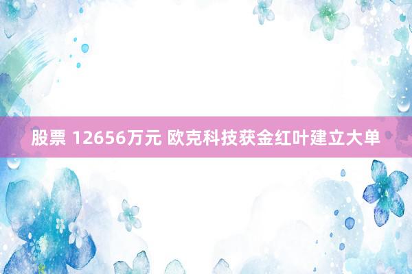 股票 12656万元 欧克科技获金红叶建立大单