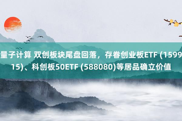 量子计算 双创板块尾盘回落，存眷创业板ETF (159915)、科创板50ETF (588080)等居品确立价值