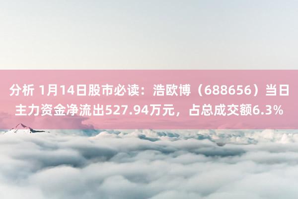 分析 1月14日股市必读：浩欧博（688656）当日主力资金净流出527.94万元，占总成交额6.3%