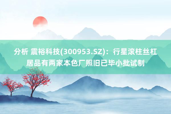 分析 震裕科技(300953.SZ)：行星滚柱丝杠居品有两家本色厂照旧已毕小批试制