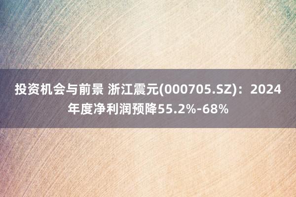 投资机会与前景 浙江震元(000705.SZ)：2024年度净利润预降55.2%-68%