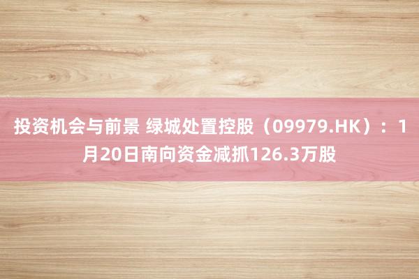 投资机会与前景 绿城处置控股（09979.HK）：1月20日南向资金减抓126.3万股