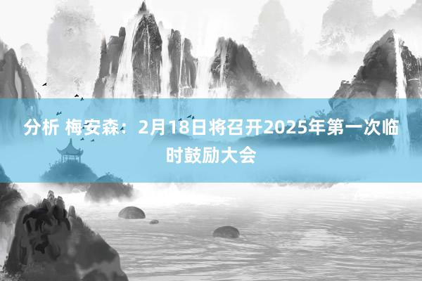 分析 梅安森：2月18日将召开2025年第一次临时鼓励大会