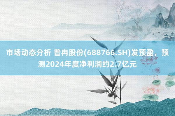 市场动态分析 普冉股份(688766.SH)发预盈，预测2024年度净利润约2.7亿元