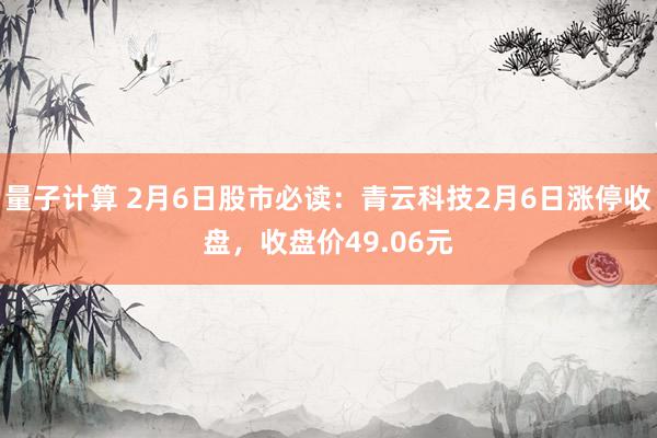 量子计算 2月6日股市必读：青云科技2月6日涨停收盘，收盘价49.06元