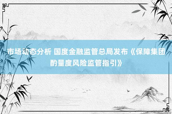 市场动态分析 国度金融监管总局发布《保障集团酌量度风险监管指引》