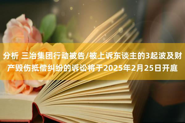 分析 三冶集团行动被告/被上诉东谈主的3起波及财产毁伤抵偿纠纷的诉讼将于2025年2月25日开庭