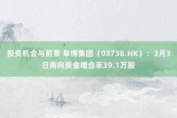 投资机会与前景 阜博集团（03738.HK）：3月3日南向资金增合手39.1万股