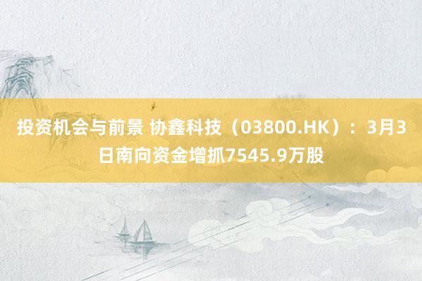 投资机会与前景 协鑫科技（03800.HK）：3月3日南向资金增抓7545.9万股