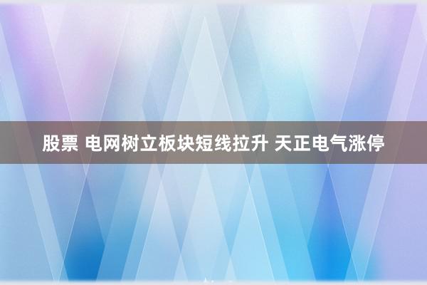 股票 电网树立板块短线拉升 天正电气涨停