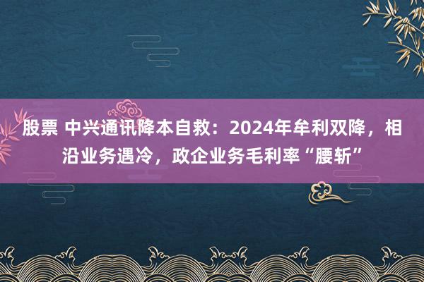 股票 中兴通讯降本自救：2024年牟利双降，相沿业务遇冷，政企业务毛利率“腰斩”