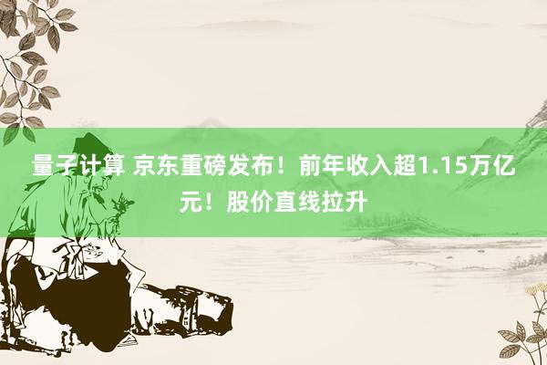 量子计算 京东重磅发布！前年收入超1.15万亿元！股价直线拉升