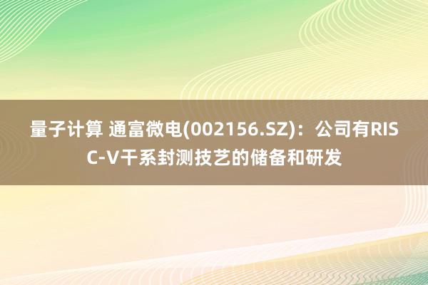 量子计算 通富微电(002156.SZ)：公司有RISC-V干系封测技艺的储备和研发