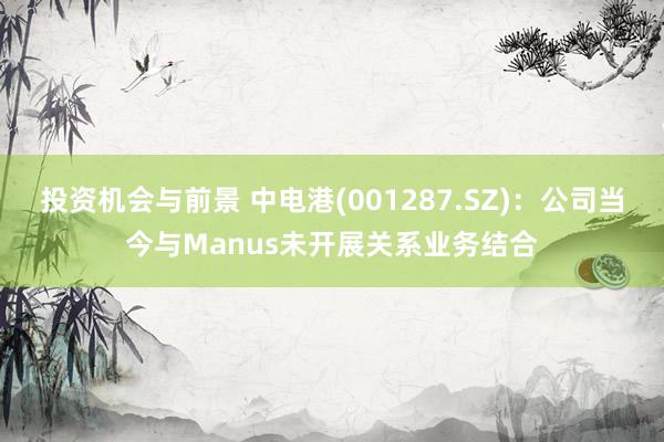 投资机会与前景 中电港(001287.SZ)：公司当今与Manus未开展关系业务结合